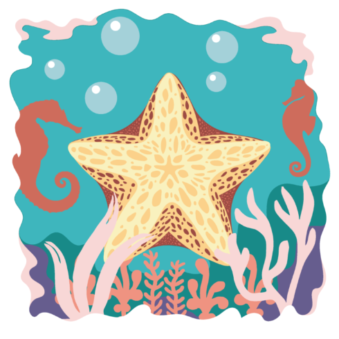 3d Starfish Shadow Box, Paper Cut, DIY Decor cover image.