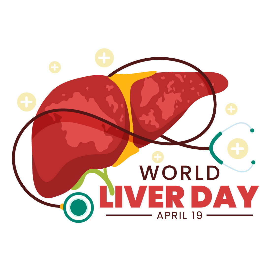 13 World Liver Day Illustration preview image.