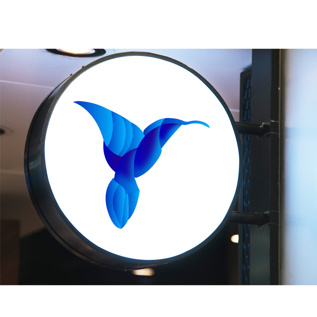 Bird logo design with gradient blue color cover image.