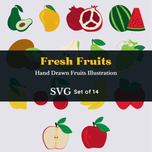 Set of 14 Vector Hand Drawn Fresh Organic Fruits Vector Graphics cover image.
