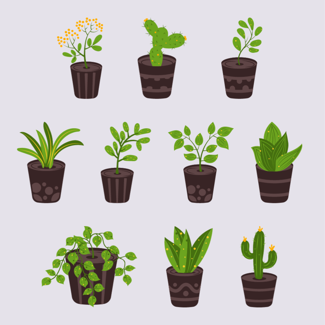Set of 10 Vector Indoor Houseplant For Home decor and Gardening, Potted Plant preview image.