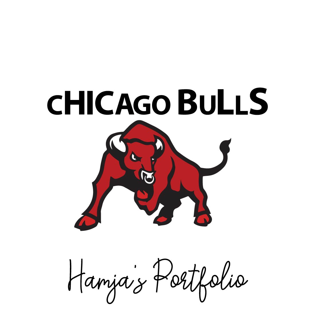 Chicago Bulls Logo Vector Set preview image.