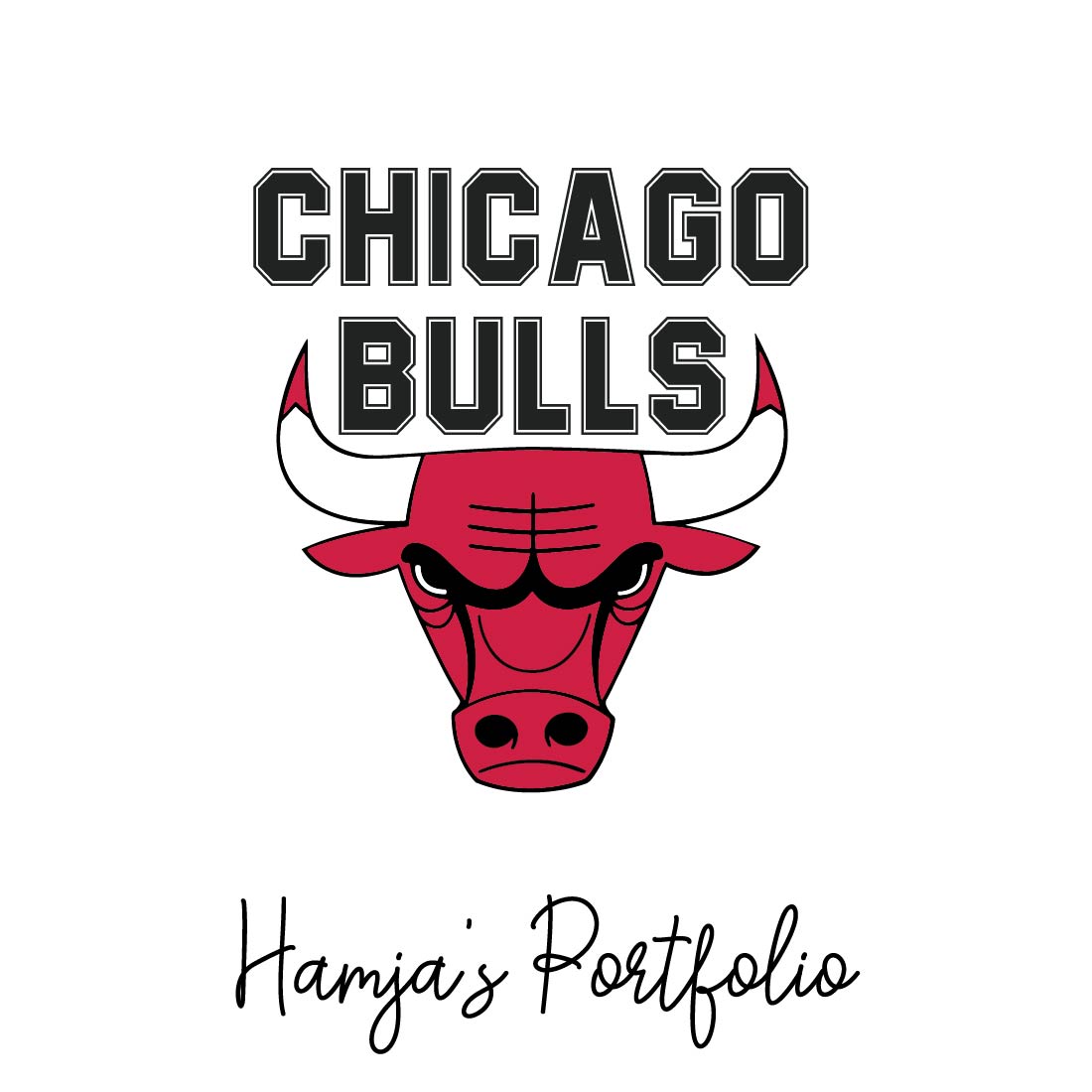 Chicago Bulls Logo Vector Set preview image.