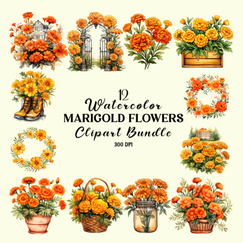 Watercolor Marigold Flowers Clipart Bundle cover image.