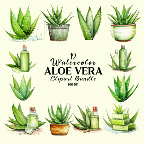 Watercolor Aloe Vera Clipart Bundle cover image.