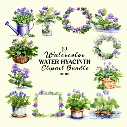 Watercolor Water Hyacinth Clipart Bundle cover image.