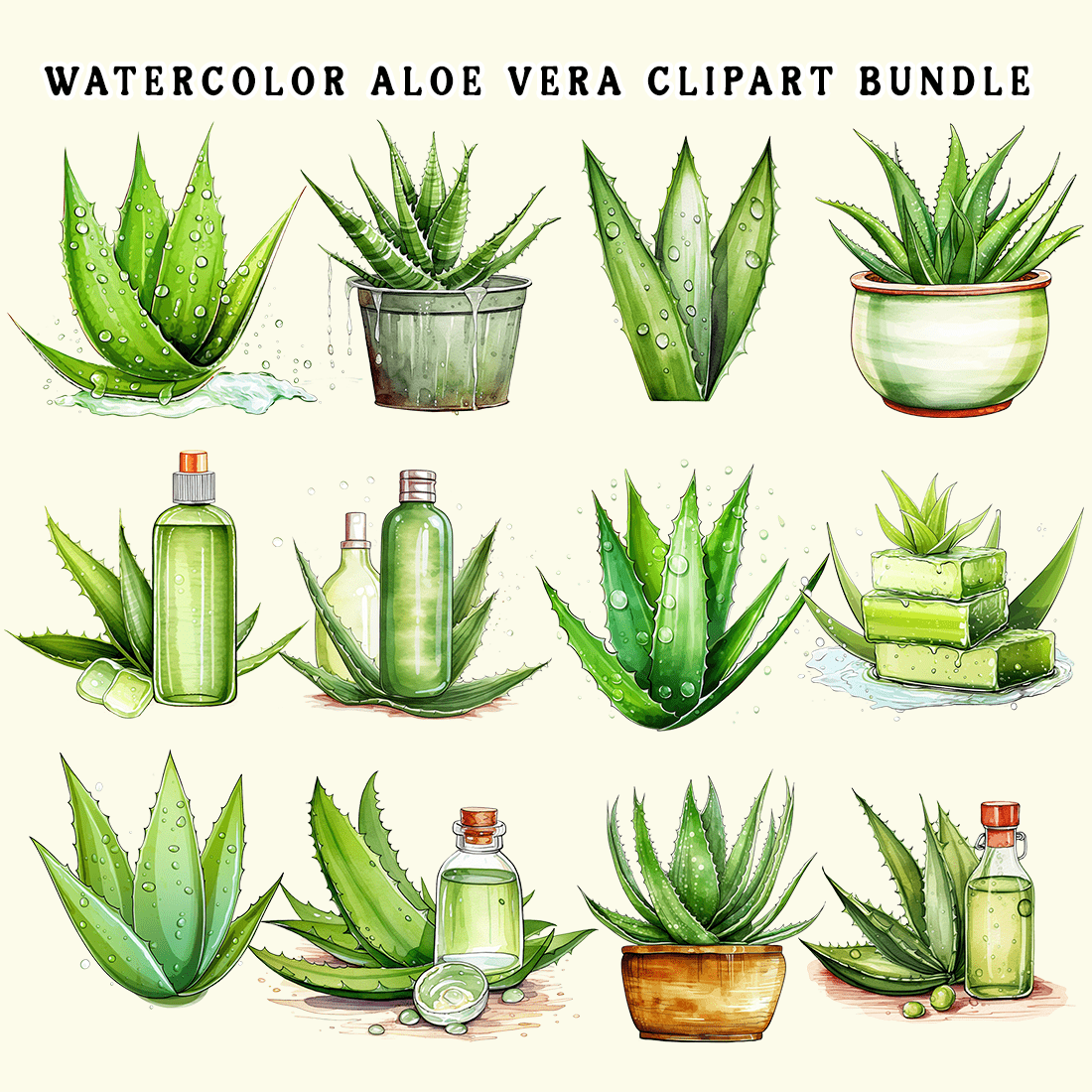 Watercolor Aloe Vera Clipart Bundle preview image.