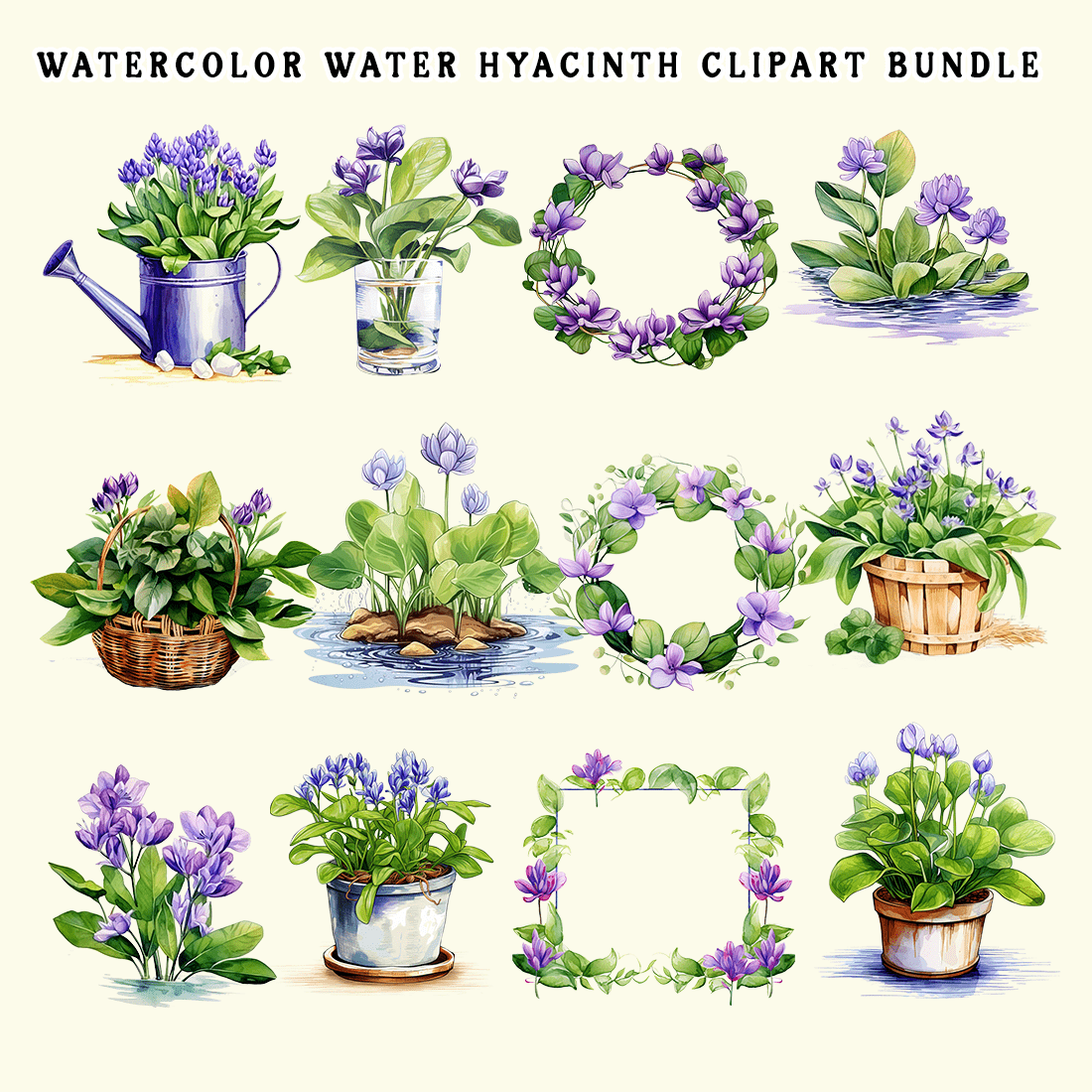 Watercolor Water Hyacinth Clipart Bundle preview image.