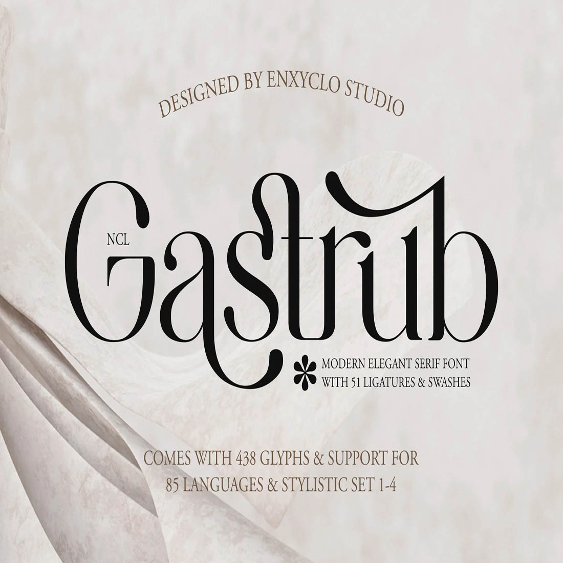 NCL GASTRUB - MODERN ELEGANT LIGATURE FONT cover image.