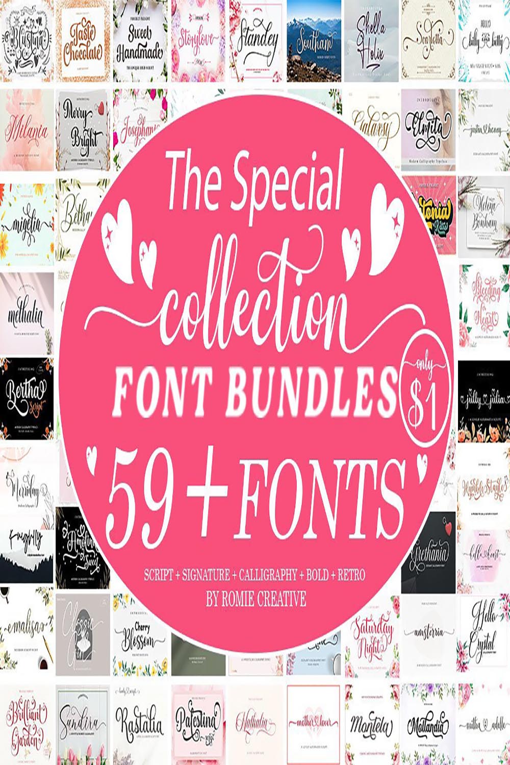 The Special Collection Font Bundle pinterest preview image.