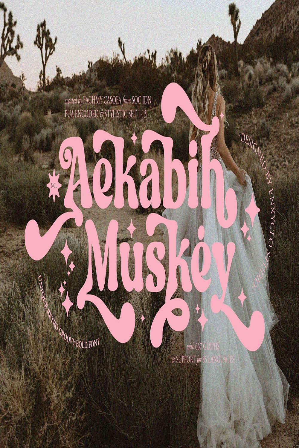 NCL AEKABIH MUSKEY - RETRO GROOVY BOLD FONT pinterest preview image.