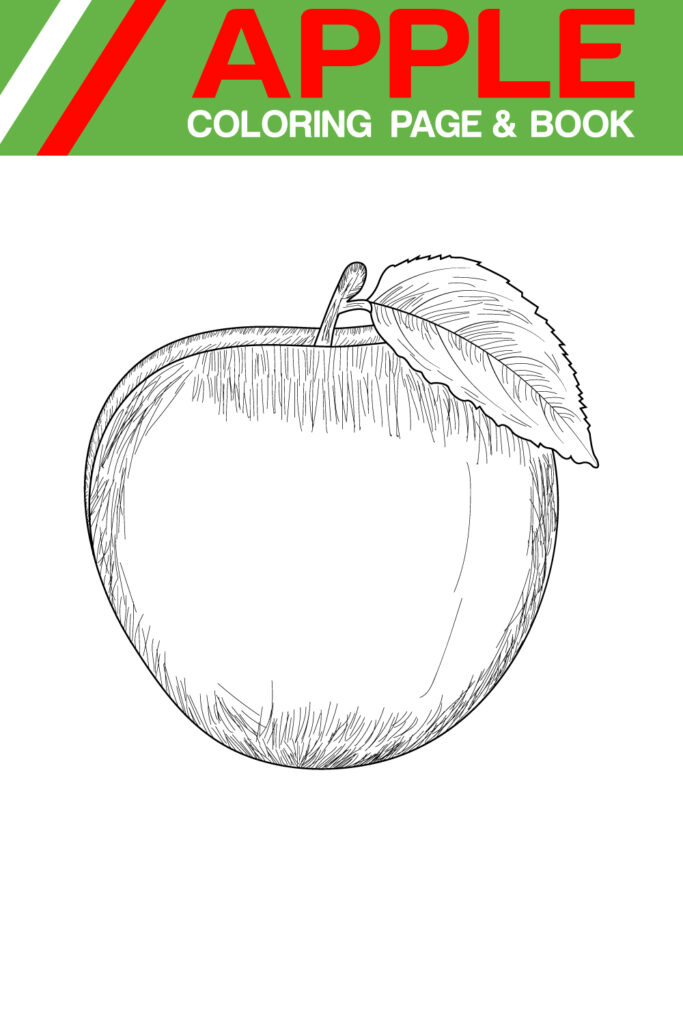 apple fruits Line art coloring page for adults - MasterBundles