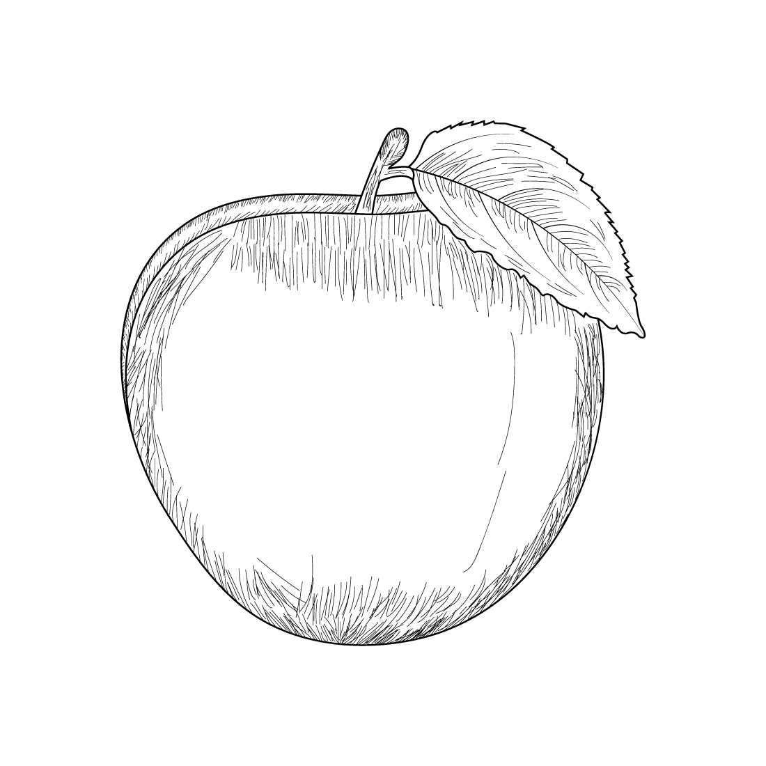 apple fruits Line art coloring page for adults preview image.