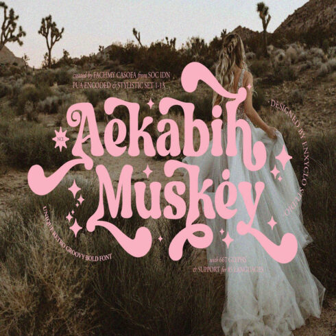 NCL AEKABIH MUSKEY - RETRO GROOVY BOLD FONT cover image.