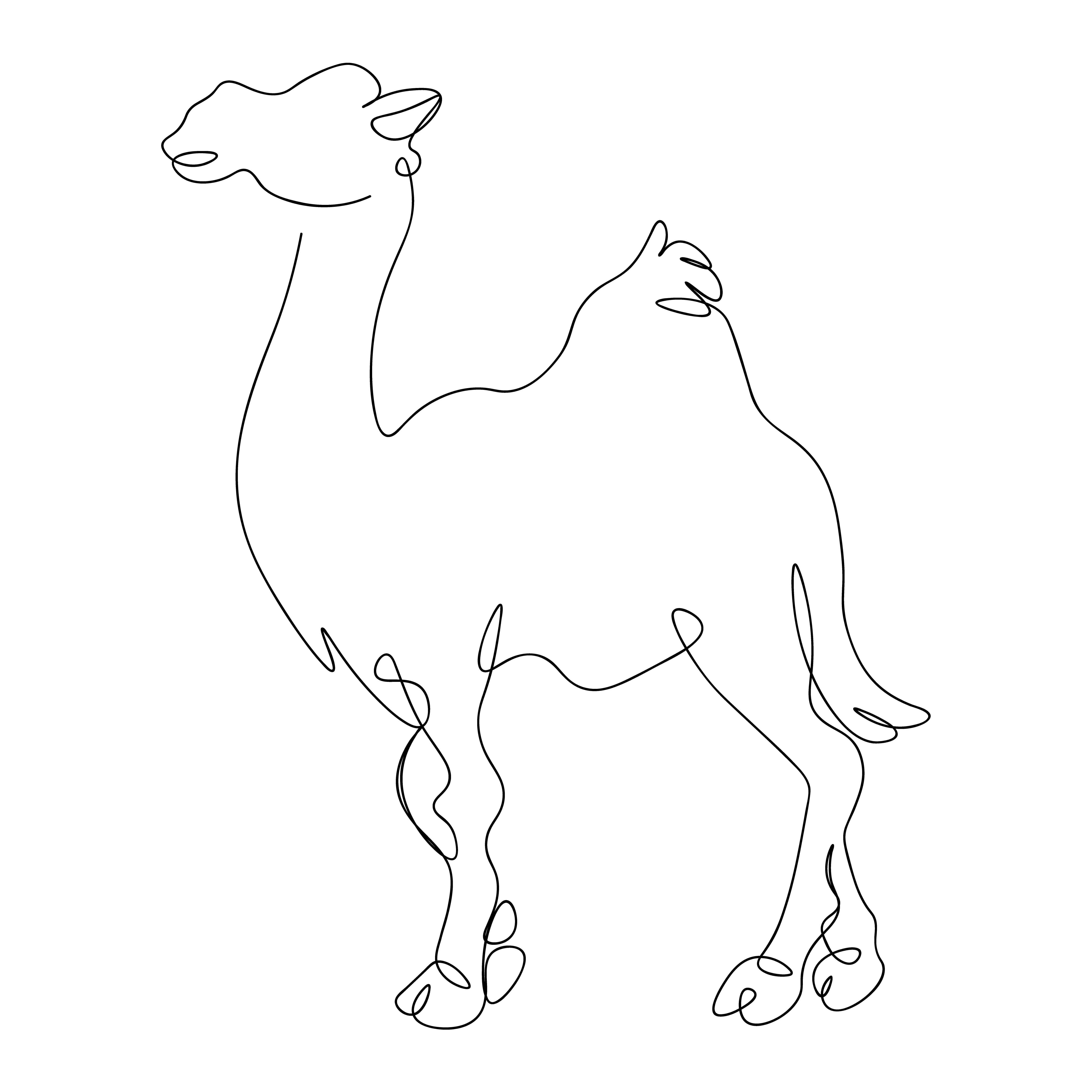 Camel Single Line Art Drawing For Personal Or Commercial Use cover image.