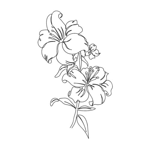 Hibiscus Flower Single Line Art Drawing For Personal Or Commercial Use cover image.
