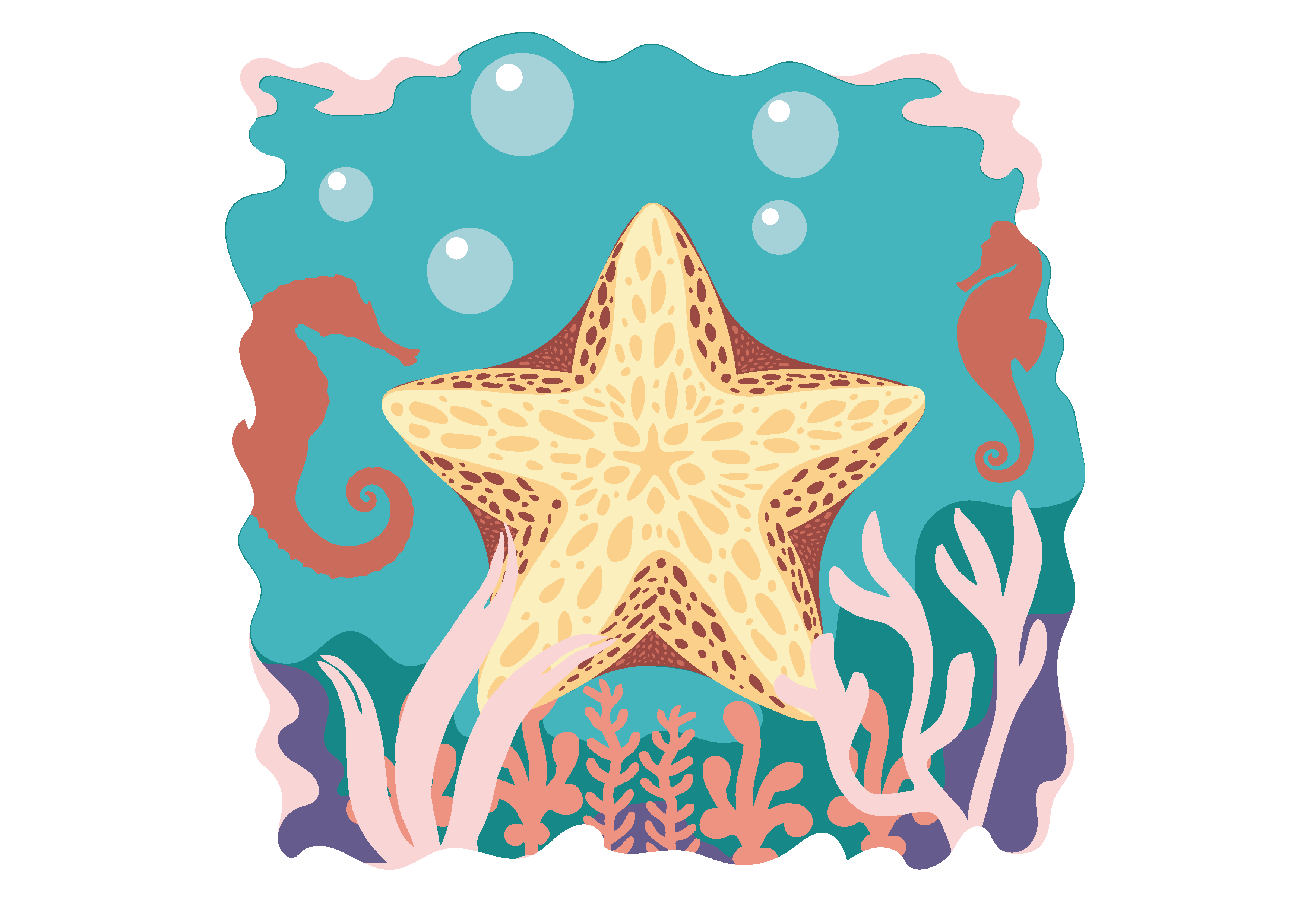 starfish 74