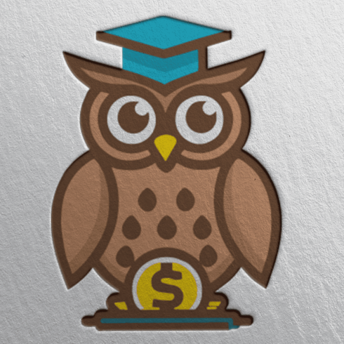 High Resolution Best Quality Accounting Owl Logo Only in 20$ cover image.