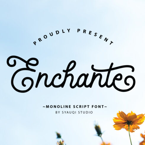 Enchante, A Monoline Script Font cover image.