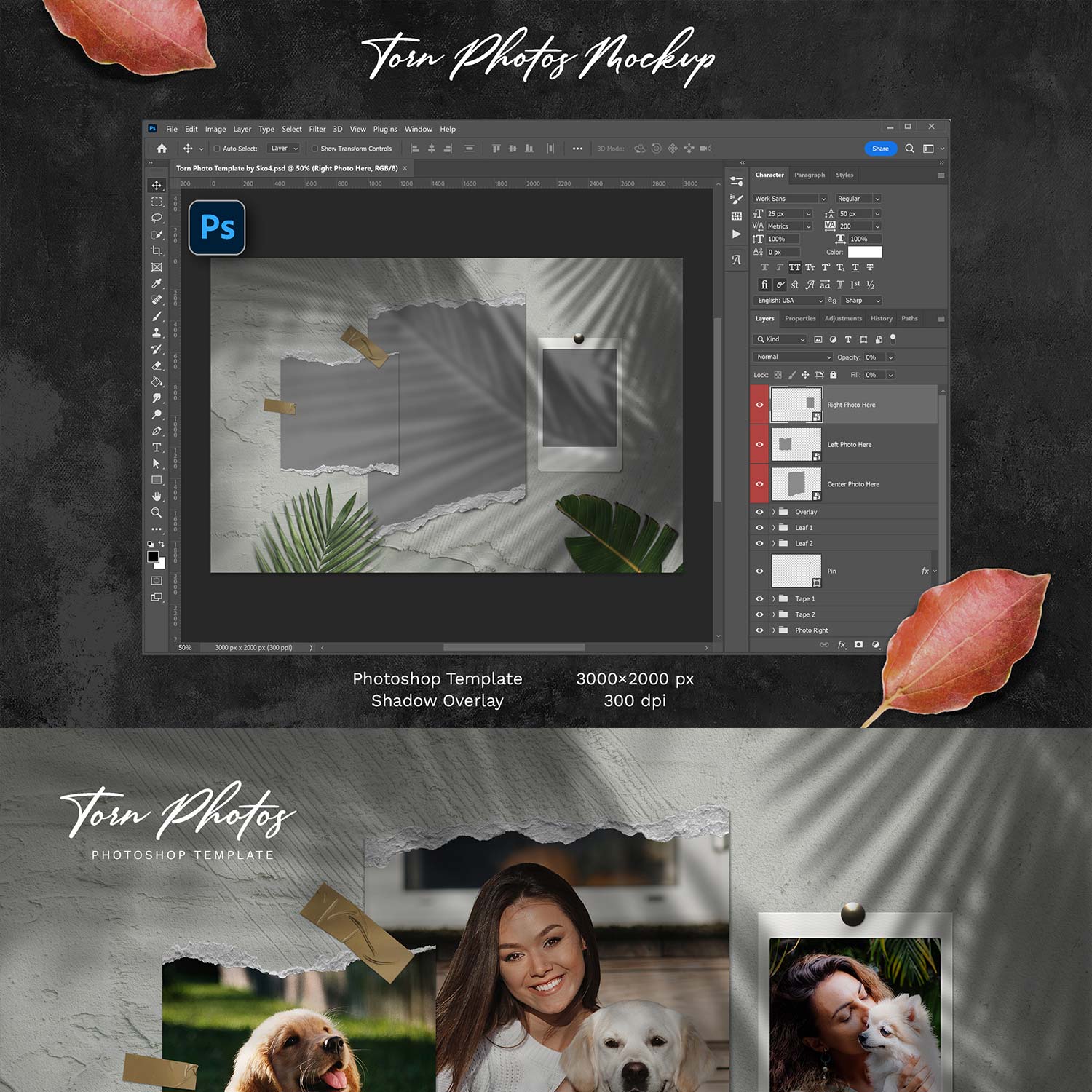 Torn Photo Template preview image.