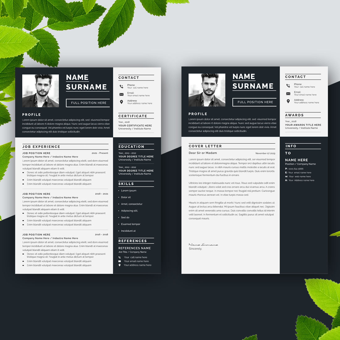 Resume Design Layout Template preview image.