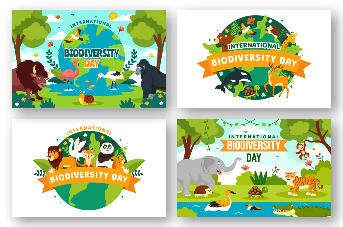 biodiversity 04 3
