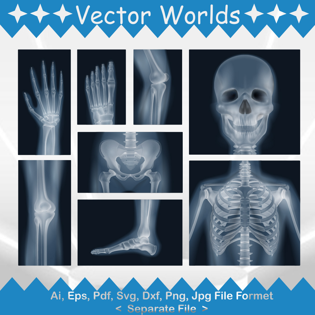 X-ray Body SVG Vector Design preview image.