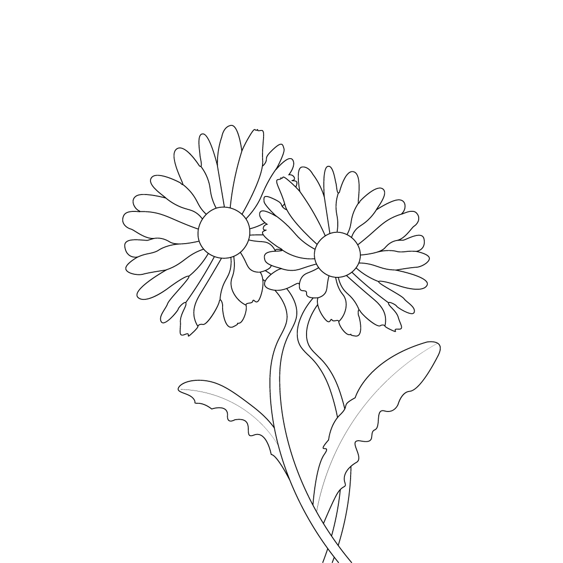 Daisy Flower Coloring Book Adults preview image.