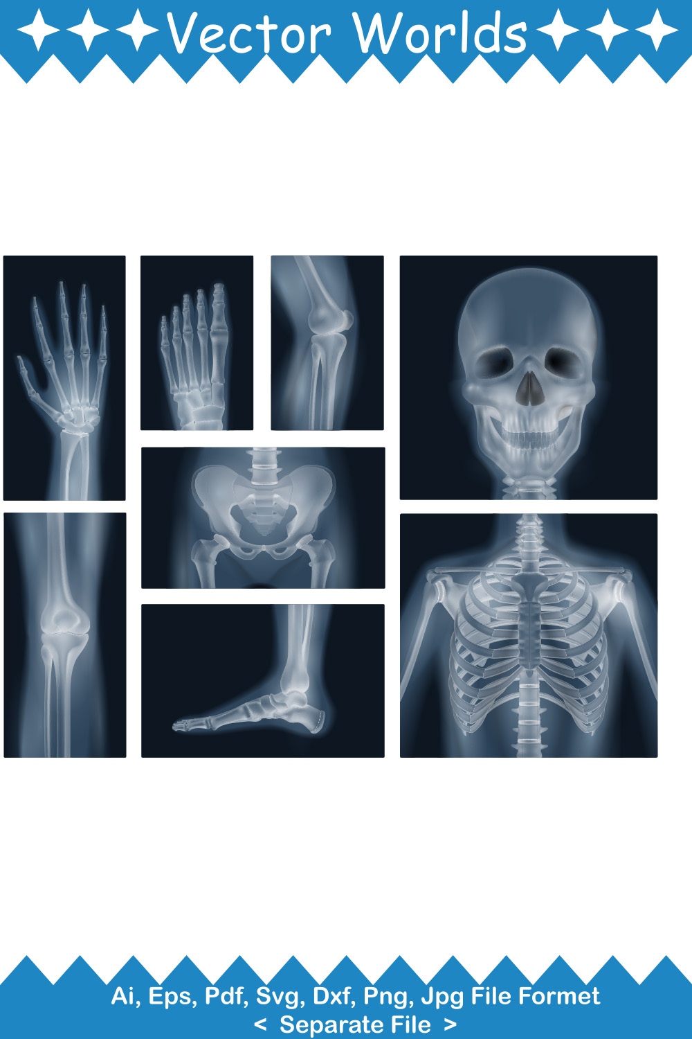 X-ray Body SVG Vector Design pinterest preview image.