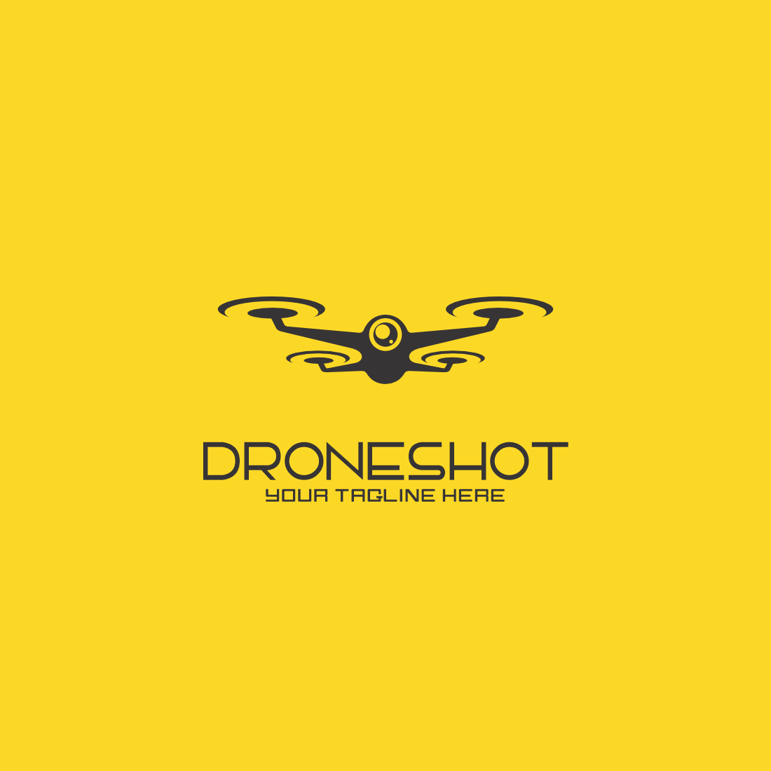 Drone Photography Logo 2024 preview image.