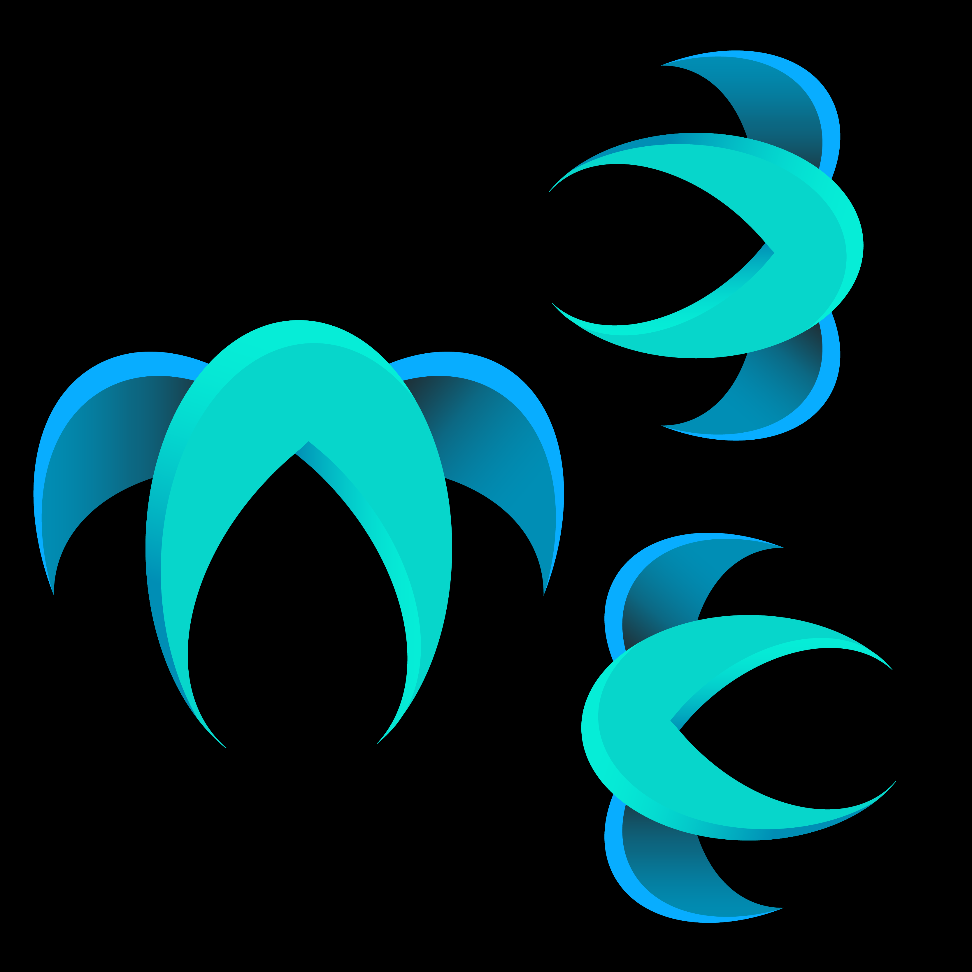 fish logo 1 24