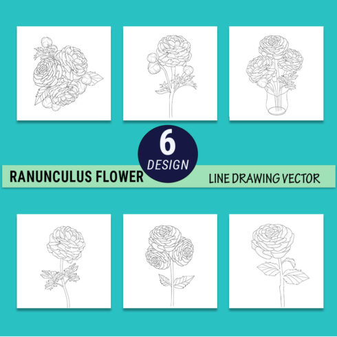 botanical ranunculus drawing, easy ranunculus flower drawing, sketch buttercup flower drawing, realistic buttercup flower drawing, buttercup flower clipart, botanical ranunculus drawing cover image.