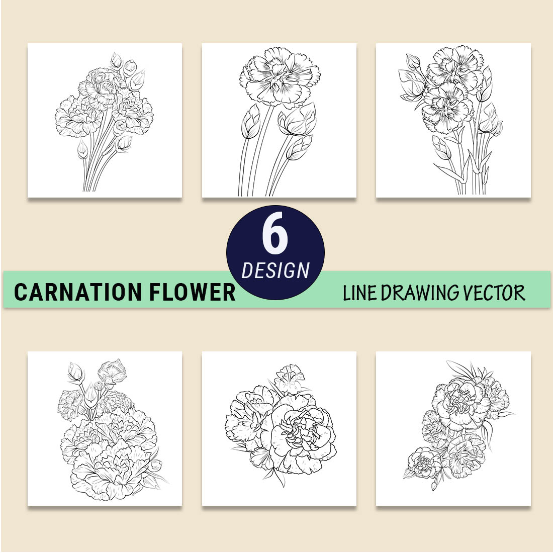 Carnation botanical line drawing, carnation isolated, carnation pencil ...