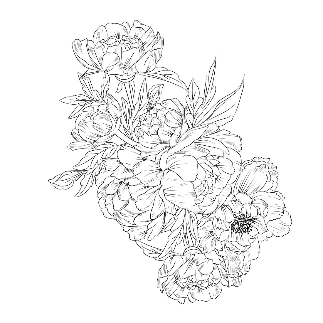 peony line drawing tattoo, linework peony tattoo design, scientific peony botanical illustration, Peony flower sketch art preview image.