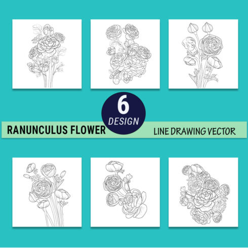 ranunculus flower drawing, sketch buttercup flower drawing, realistic buttercup flower drawing, buttercup flower clipart, botanical ranunculus drawing cover image.