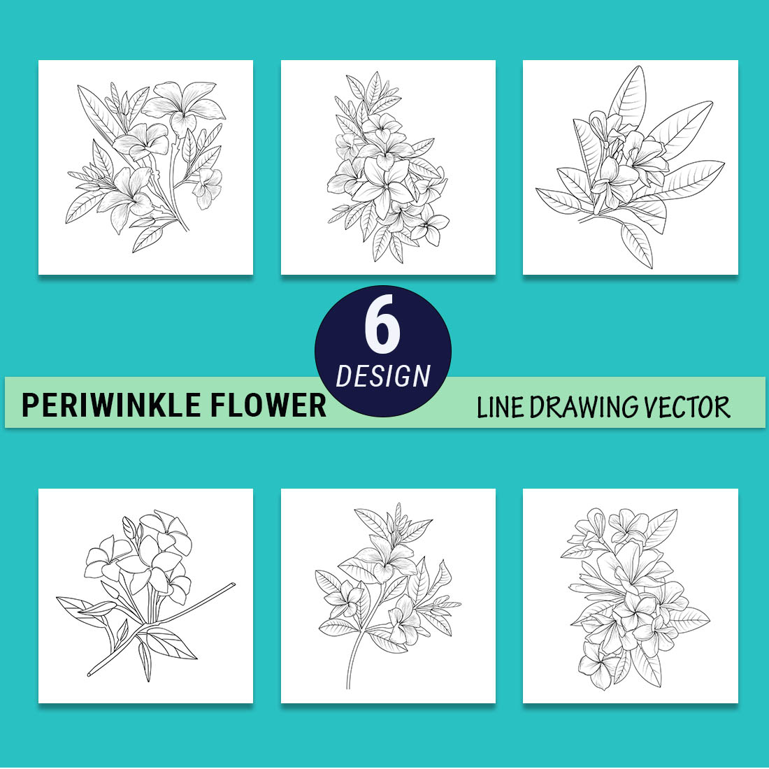 Frangipani flower drawing, vector sketch hand frangipani flower, sketch frangipani flower drawing, realistic frangipani flower drawing, realistic plumeria drawing preview image.