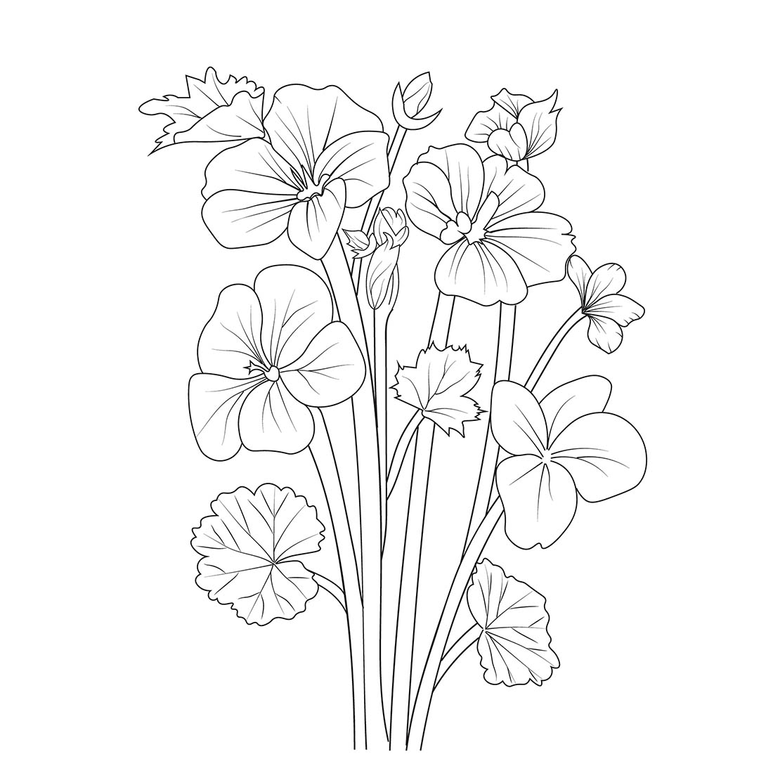 February birth flower, February primrose birth flower, February birth primrose drawings, primula flower drawing preview image.