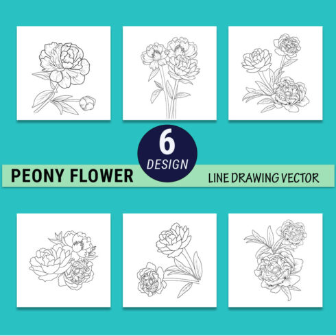 Peony flower art, Paeonia suffruticosa simple outline peony drawing, Paeonia suffruticosa shikoku, tattoo outline, peony flower drawing cover image.