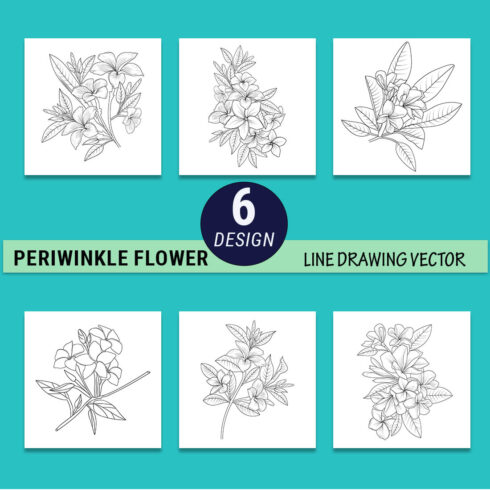 Frangipani flower drawing, vector sketch hand frangipani flower, sketch frangipani flower drawing, realistic frangipani flower drawing, realistic plumeria drawing cover image.