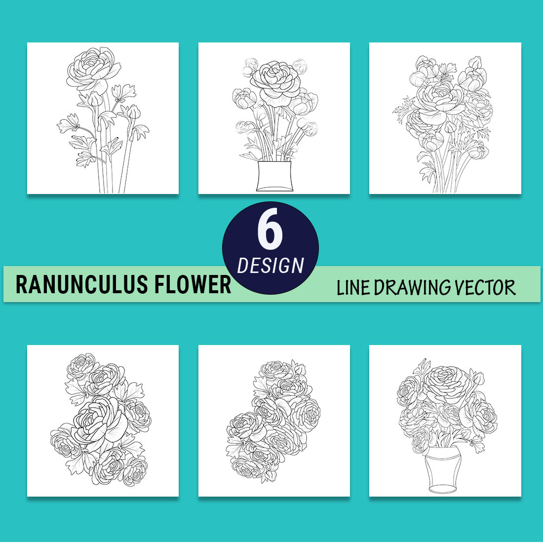 ranunculus line drawing, hand drawing ranunculus drawing, ranunculus illustration, botanical ranunculus drawing, easy ranunculus flower drawing cover image.