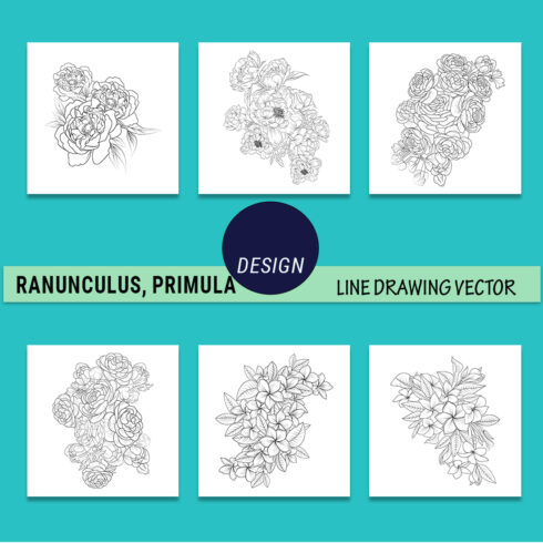 hand drawing ranunculus drawing, ranunculus illustration, Frangipani flower drawing, linework peony tattoo design, realistic frangipani flower drawing cover image.