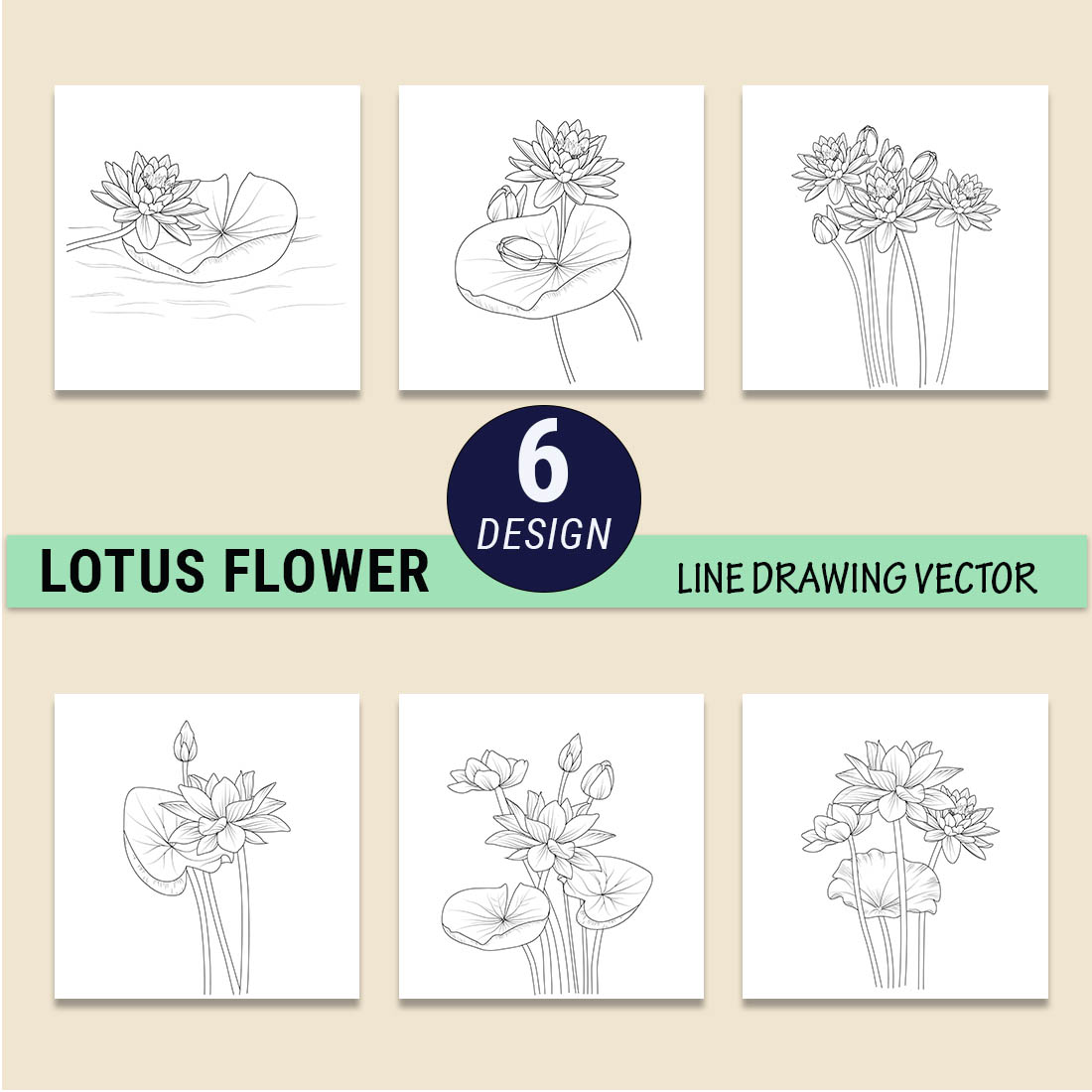 lotus flower in pencil drawing isolated on white, botanic illustration with realistic  lotus flower, pencil sketch with water lily Stock Photo - Alamy