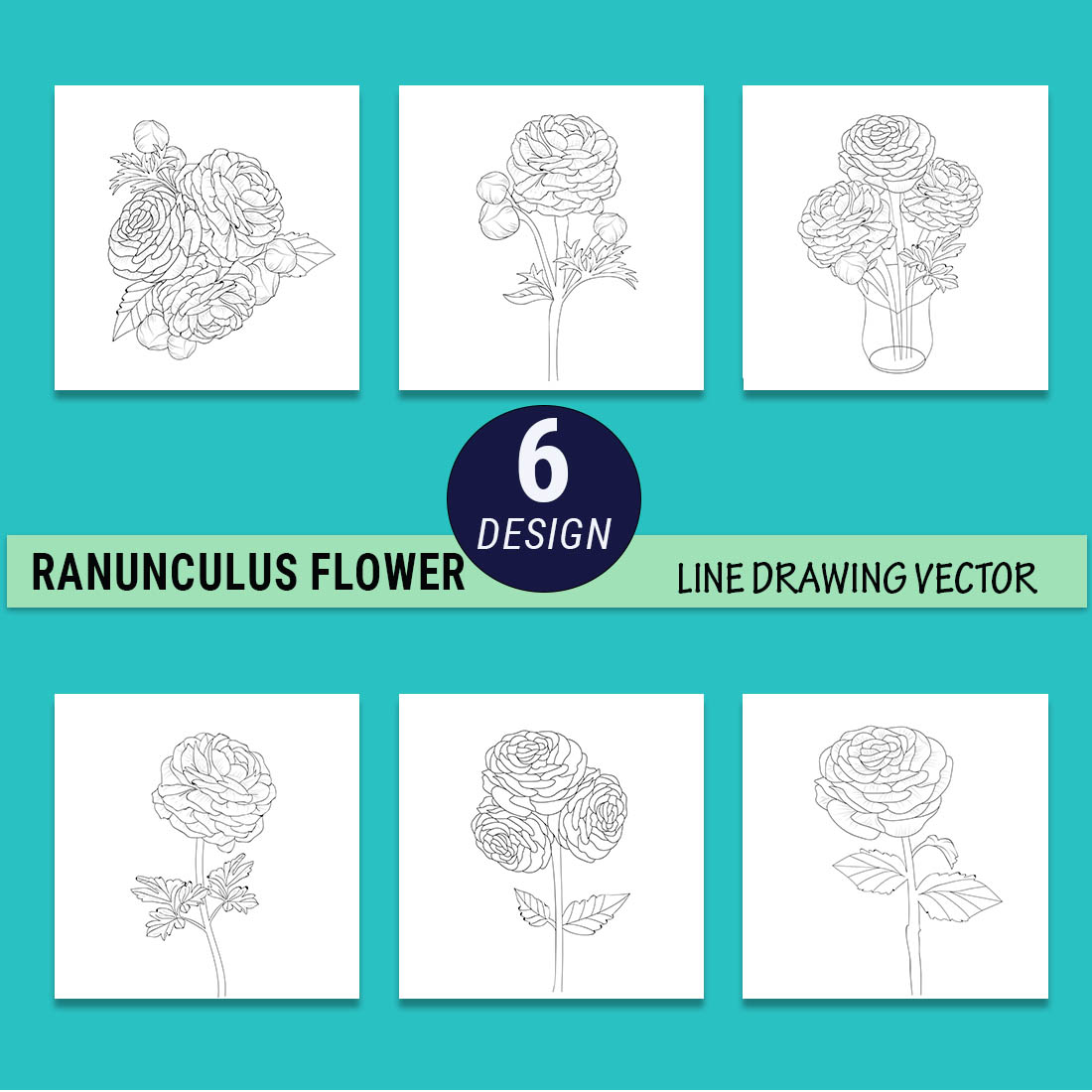 Page 4 | 9,000+ Ranunculus Sketch Pictures