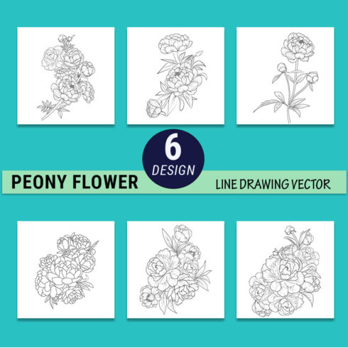 Peony flower line art, peony line drawing tattoo, linework peony tattoo design, scientific peony botanical illustration Peony flower sketch art cover image.
