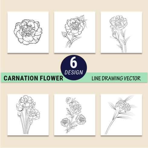 Dianthus flower drawing, carnation flower line art, carnation clipart black and white, simple carnation line drawing cover image.