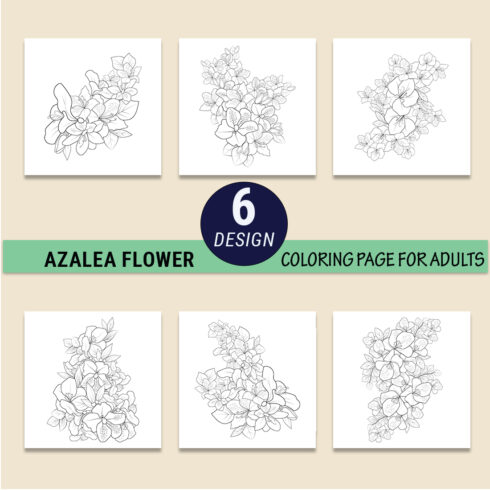 outline azalea drawing, botanical azalea drawing, the national flower of Nepal drawing, rhododendron sketch cover image.