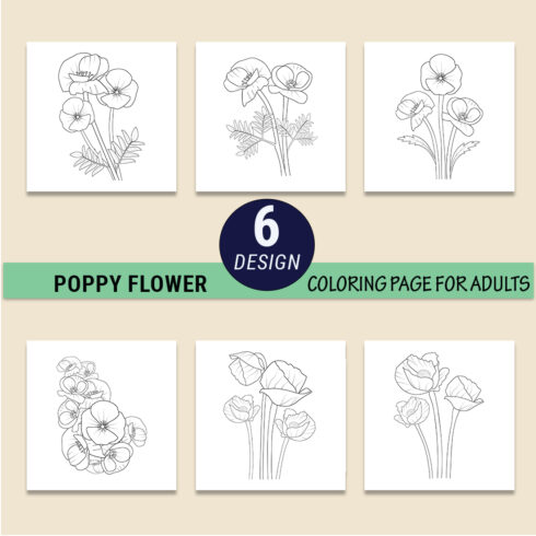 botanical poppy illustration, vintage poppy botanical illustration, black and white poppy botanical illustration cover image.