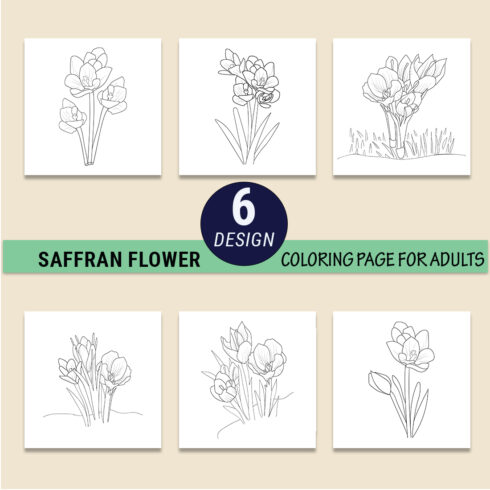 saffron crosses flower outline, crocus flower coloring pages crocus flower spring, sketch crocus flower drawing cover image.