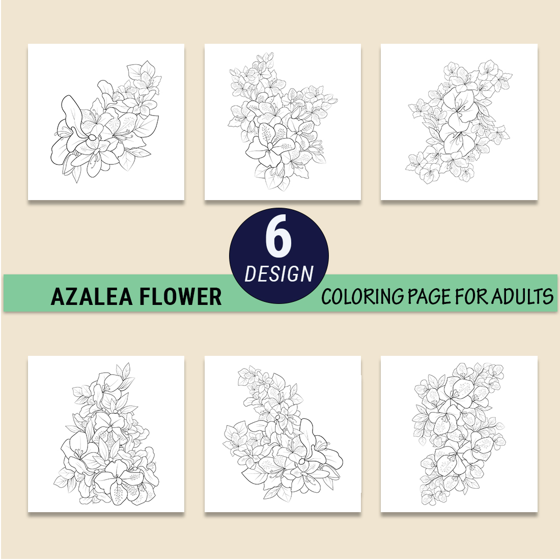 outline azalea drawing, botanical azalea drawing, the national flower of Nepal drawing, rhododendron sketch preview image.