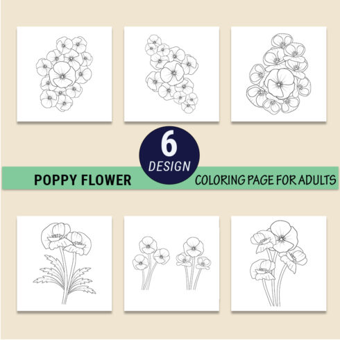 poppy drawing, poppy drawing black and white, realistic poppy flower drawing, outline poppy flower drawing cover image.